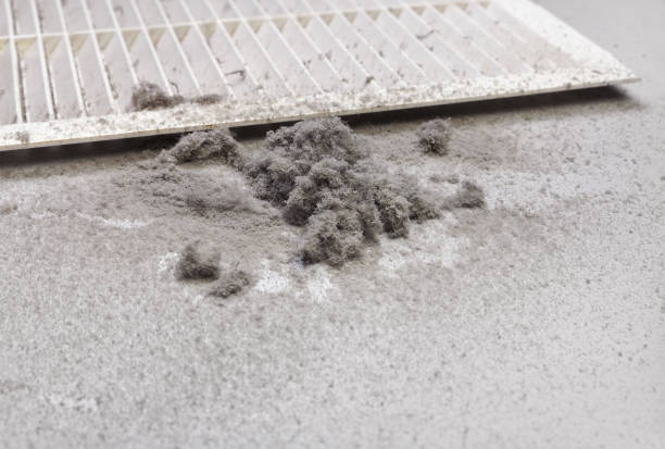 Best Air Duct Cleaning Near Me  in Goliad, TX