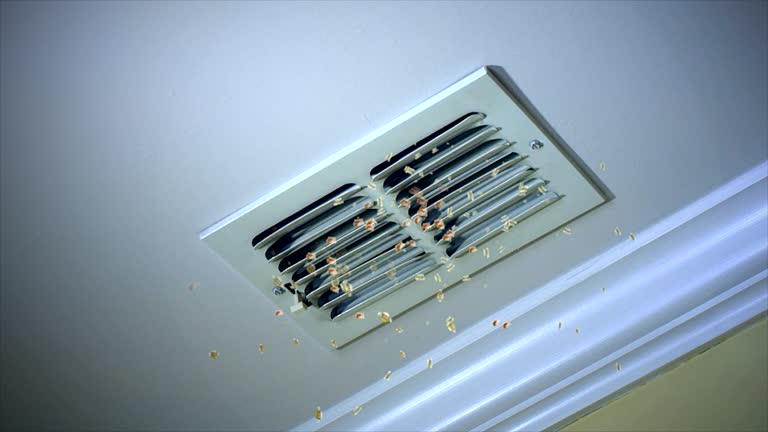 Best HVAC Air Duct Cleaning  in Goliad, TX