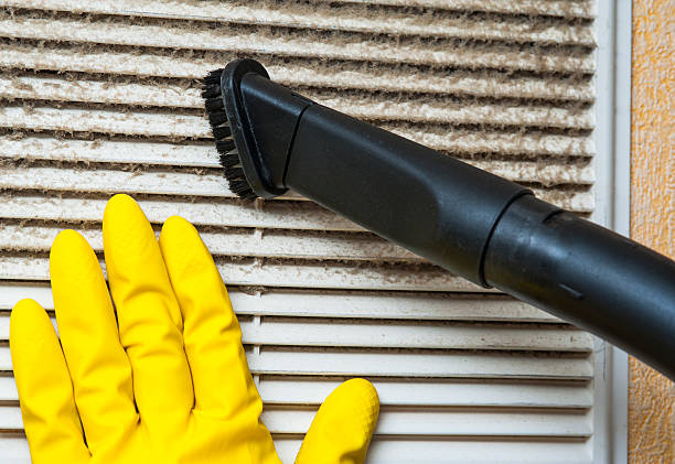 Best Home Air Vent Cleaning  in Goliad, TX